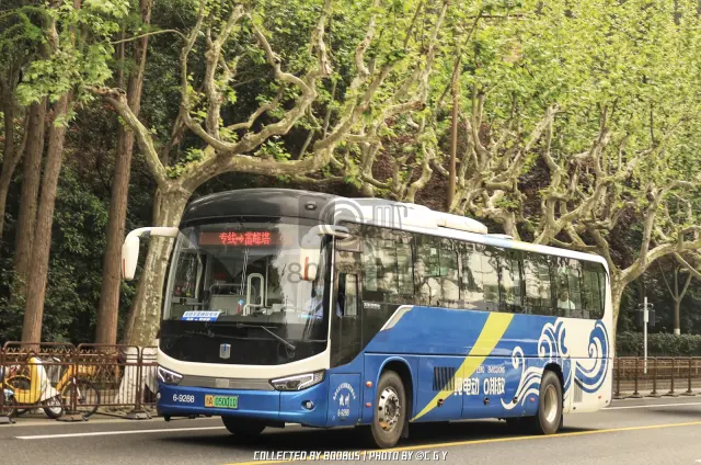 浙A 05001D