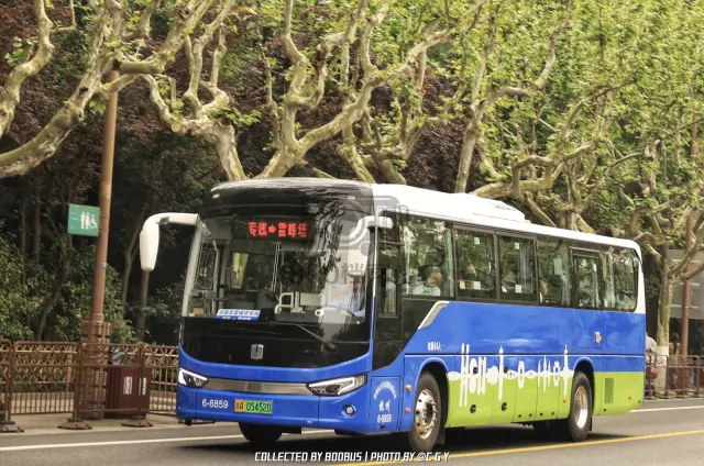 浙A 05452D
