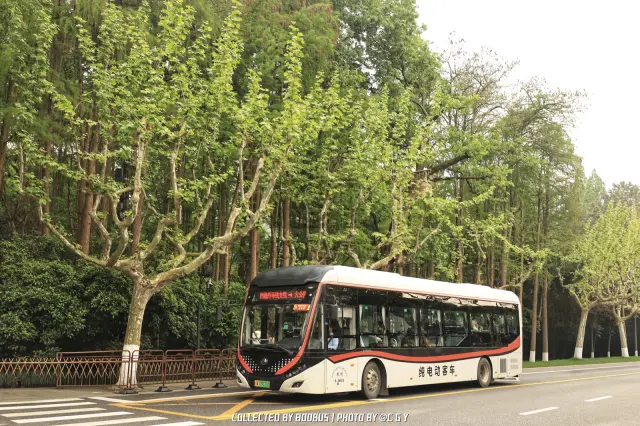 浙A 09120D