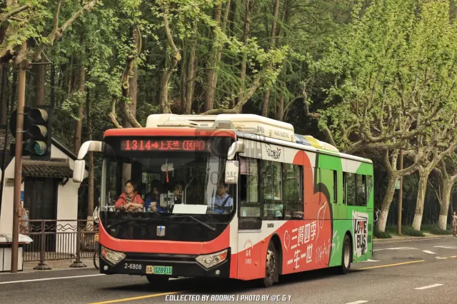浙A 02891D