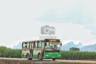800BUS
