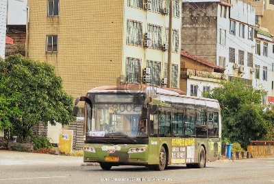桂C 29810