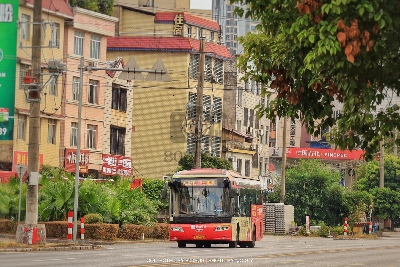 桂C 29820