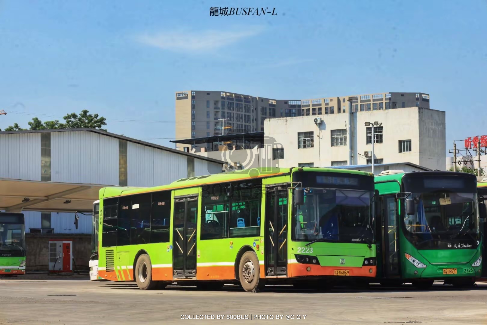Bus Archive