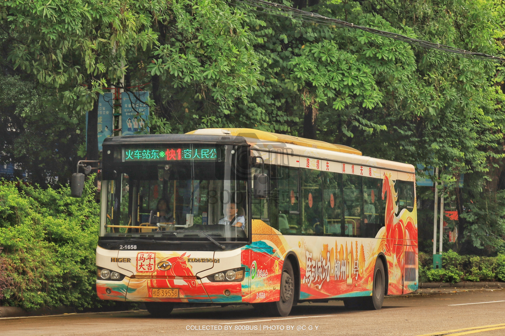 Bus Archive
