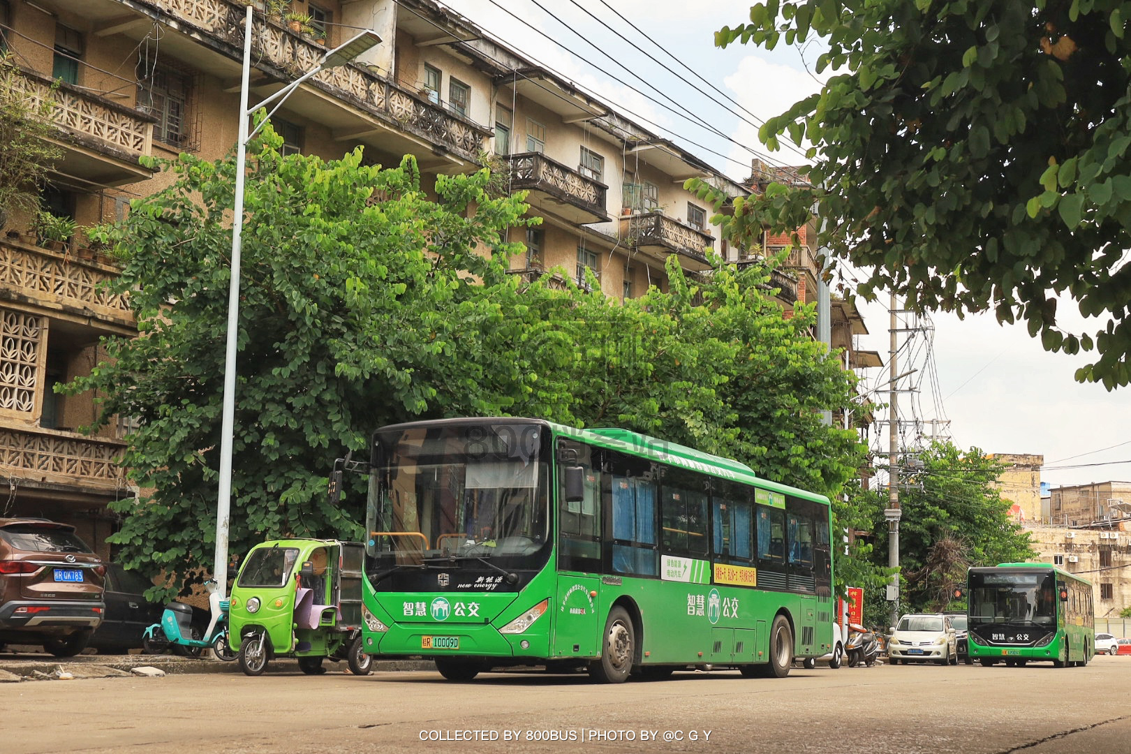 Bus Archive
