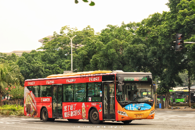 800BUS