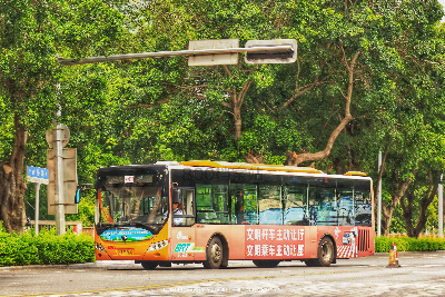 桂B 39361