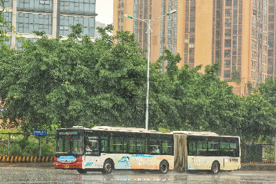 桂B 39366