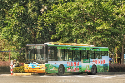 桂B 39559