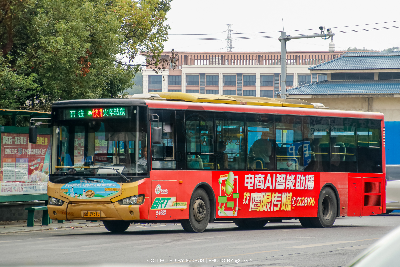 桂B 39519