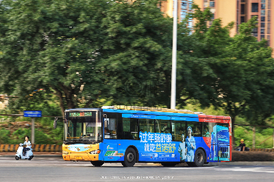 桂B 39153