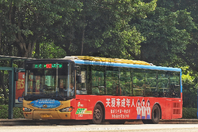 桂B 39173