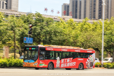 桂B 39379