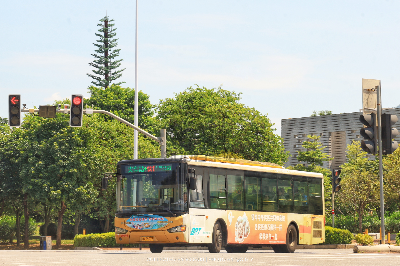 桂B 39273