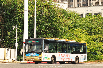 桂B 39506