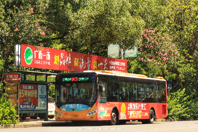 桂B 39393