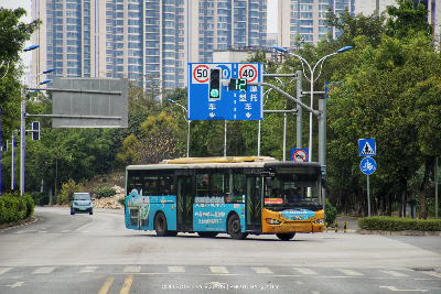 桂B 39321