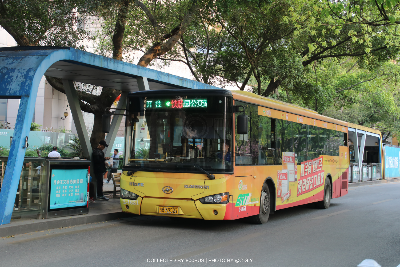 桂B 39527