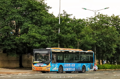 桂B 39335