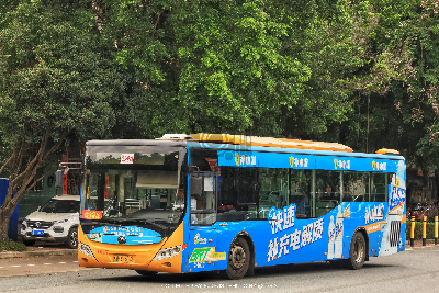 桂B 39513