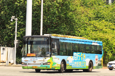 桂B 39552