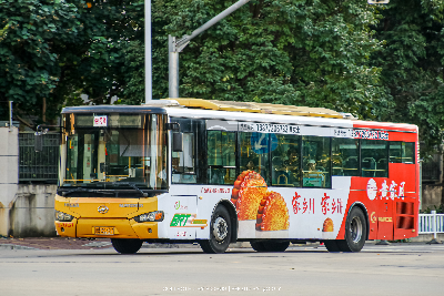 桂B 39527