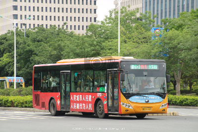 桂B 39352