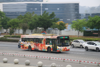 桂B 39558