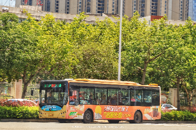 桂B 39203