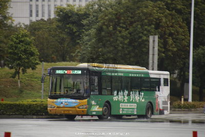 桂B 39301