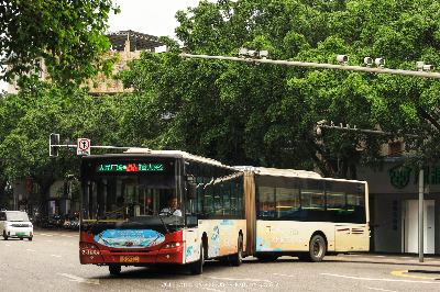 桂B 39366