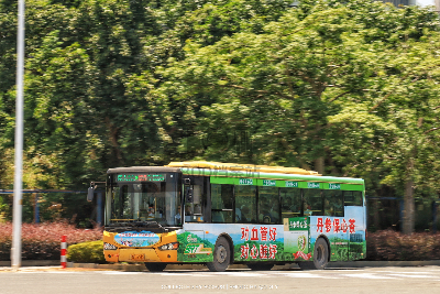 桂B 39515