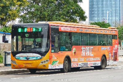 桂B 39365