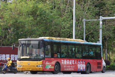 桂B 38952