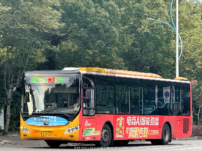 桂B 39339