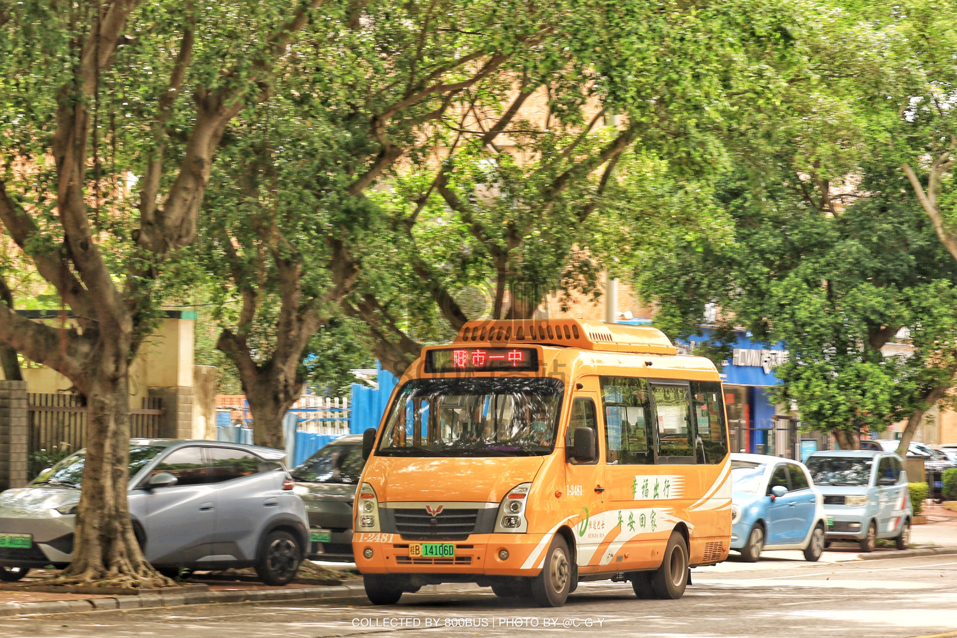Bus Archive
