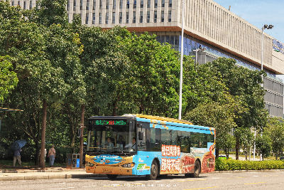800BUS