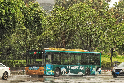 桂B 39536