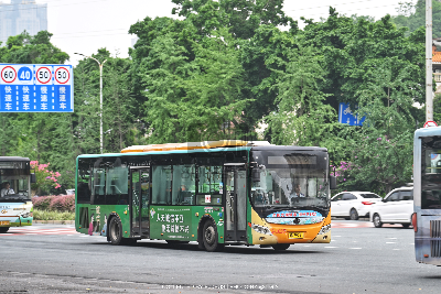 桂B 39271