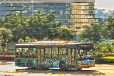 桂B 39533