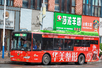 桂B 70001