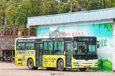 桂B 23700