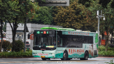 桂B A8008