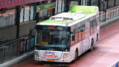 800BUS