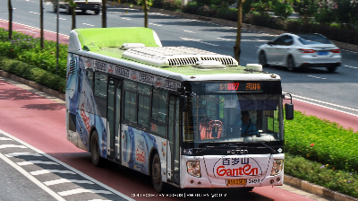 800BUS