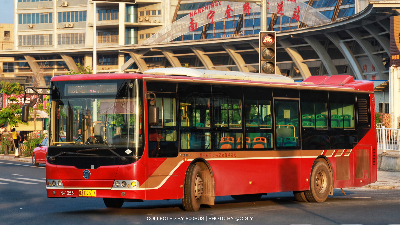 桂A D9517