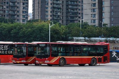 桂A D9520