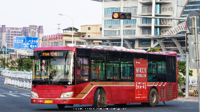 桂A D9976