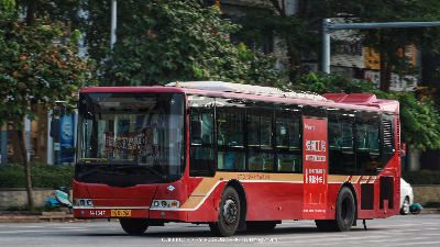 桂A D9960